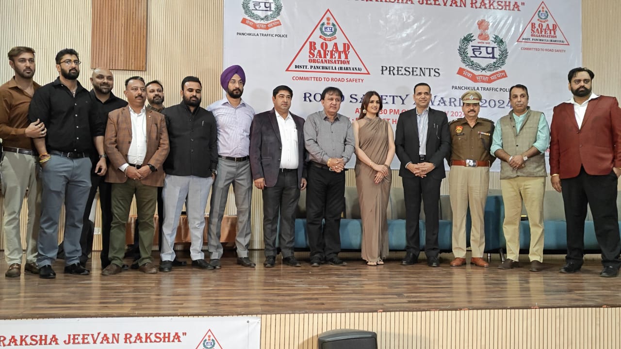 Music Festival - Live Performance and Entertainment Show